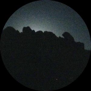 Meet your Posher, Chantel